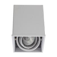 Точечный накладной светильник Arte Lamp CARDANI PICCOLO