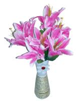 207-06-Powder (Лилия)