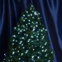 Гирлянда FERON CL09