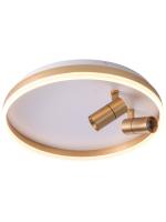 Потолочный светильник ZORTES RAIZY ZRS.1888.02, Мощность - 40Вт, Тип лампы: LED, В -70мм / Ш - ø500мм