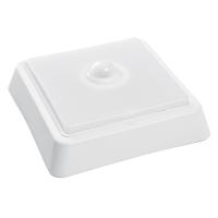 Светильник накладной светодиодный FERON AL3023