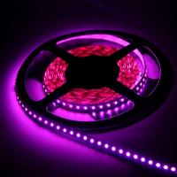 3528Е 9,6 120LED (5м.) пурпур