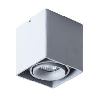 Точечный накладной светильник Arte Lamp PICTOR