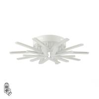 8029/80CL LEDIO LN25 248 белый/белый, металл/акрил Потолочный светильник с ПДУ LED 80W 3000-6000К 220V ALBERTA