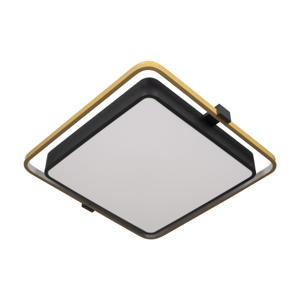 10172 Потолочный светильник LOFT IT Mike