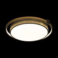 10170 Потолочный светильник LOFT IT Mike