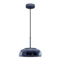 8210-P Grey Подвесной светильник LOFT IT Disk