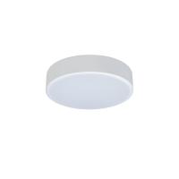 10002/12 White Потолочный светильник LOFT IT Axel