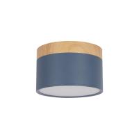 10162 Blue Накладной светильник LOFT IT Grape