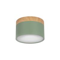 10162 Green Накладной светильник LOFT IT Grape