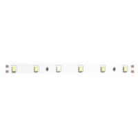 Светодиодная лента 24V 4,8W/m 6500К 5м Arte Lamp TAPE A2406008-03-6K