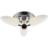 Потолочная люстра Arte Lamp AQUA