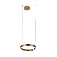 10013S Подвесной светильник LOFT IT Ring