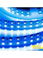 3528Е 19,2 240LED (5м.) синяя