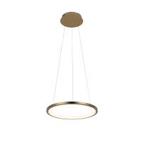 10014S Подвесной светильник LOFT IT Ring