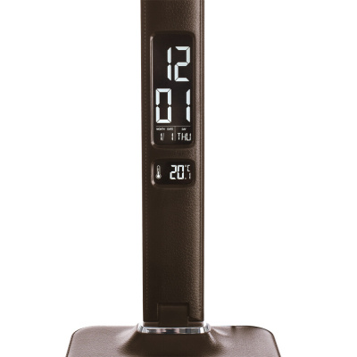 Офисная настольная лампа Arte Lamp COACH