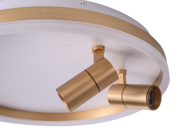 Потолочный светильник ZORTES RAIZY ZRS.1888.02, Мощность - 40Вт, Тип лампы: LED, В -70мм / Ш - ø500мм