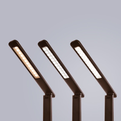 Офисная настольная лампа Arte Lamp COACH