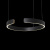 10025/400 Black Подвесной светильник LOFT IT Ring