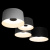 10360/4 Потолочный светильник LOFT IT Duo