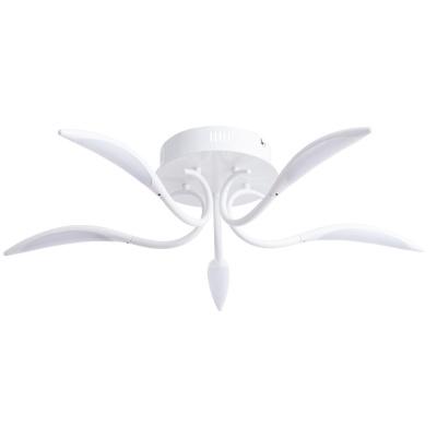 Потолочная люстра Arte Lamp MATTINO