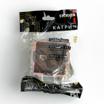 Розетка STEKKER GLS00-7106-04