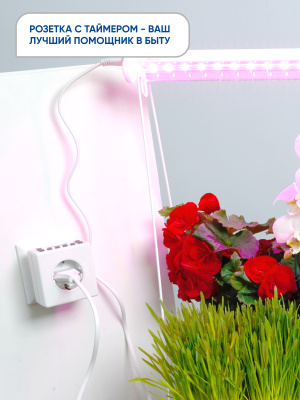 Розетка FERON TM21