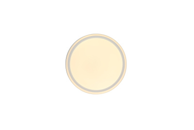 Потолочный светильник Zortes BELLA ZRS.1200.04, Мощность - 24вт, Тип лампы: Sanan
SMD2835, В -70mm / Ш - ø300мм