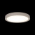 10227/24 White Потолочный светильник LOFT IT Extraslim