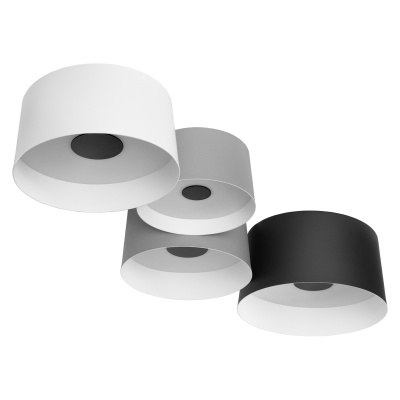 10360/4 Потолочный светильник LOFT IT Duo