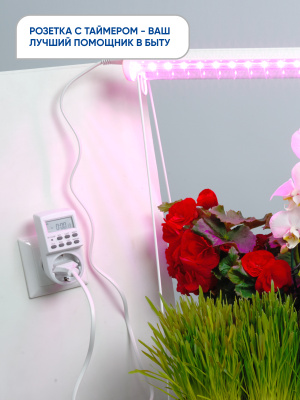 Розетка FERON TM24