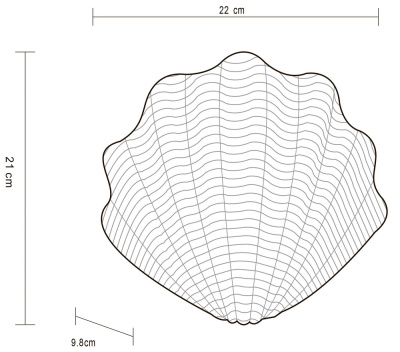 Настенный светильник Arte Lamp SHELL