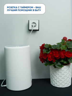 Розетка FERON TM21