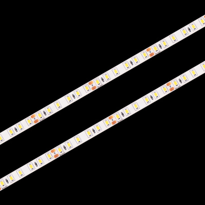 10363/12020 WW LED Светодиодная лента LOFT IT Strip 5m, 9,6W/m, 24V, 3000K, IP20