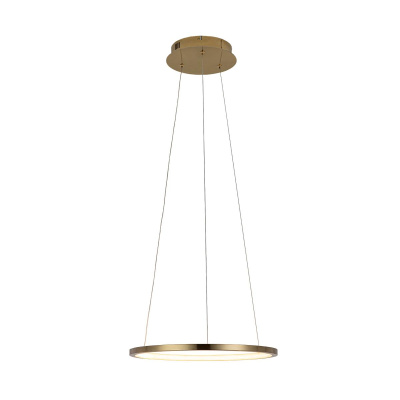 10014S Подвесной светильник LOFT IT Ring