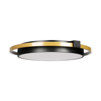 10170 Потолочный светильник LOFT IT Mike