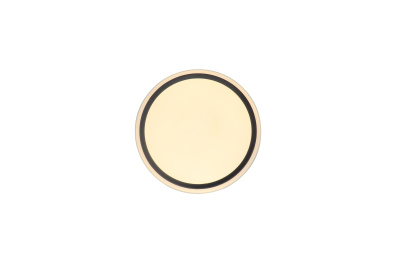 Потолочный светильник Zortes BELLA ZRS.1201.04, Мощность - 24вт, Тип лампы: Sanan
SMD2835, В -70mm / Ш - ø300мм