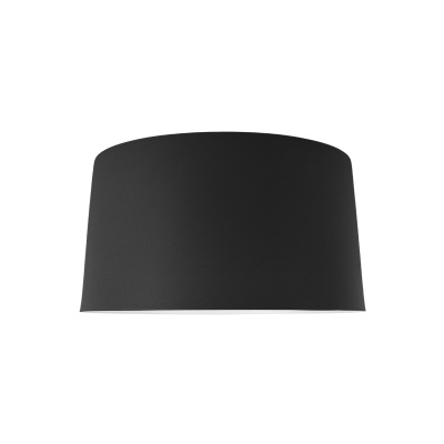 10360S Black Потолочный светильник LOFT IT Duo