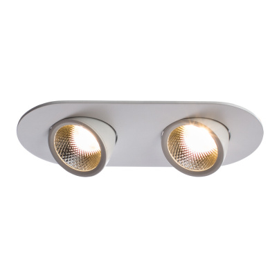 Точечный встраиваемый светильник Arte Lamp CARDANI