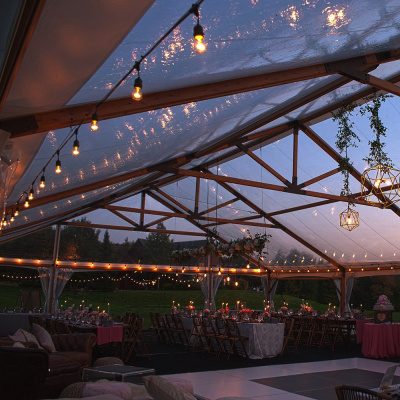 Гирлянда "Белт-лайт" FERON CL50-25-1