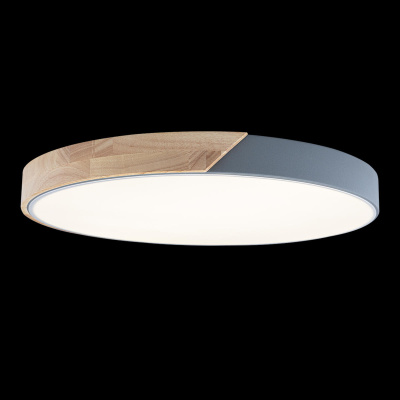 10004/36 Grey Потолочный светильник LOFT IT Axel