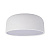 10201/350 White Потолочный светильник LOFT IT Axel