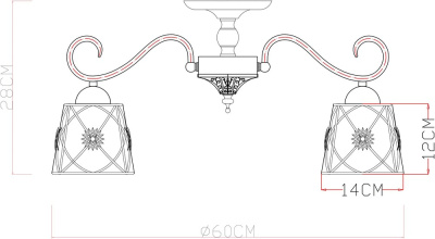 Потолочная люстра Arte Lamp FORTUNA