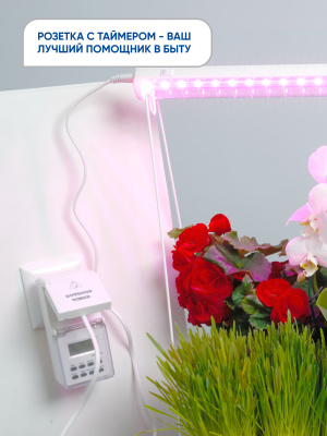 Розетка FERON TM23