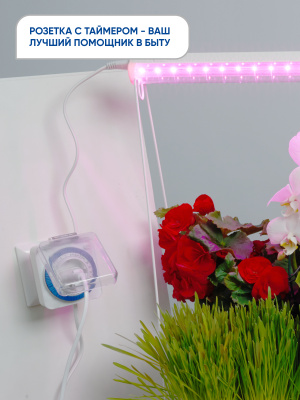 Розетка FERON TM31