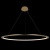 10014XXL Подвесной светильник LOFT IT Ring
