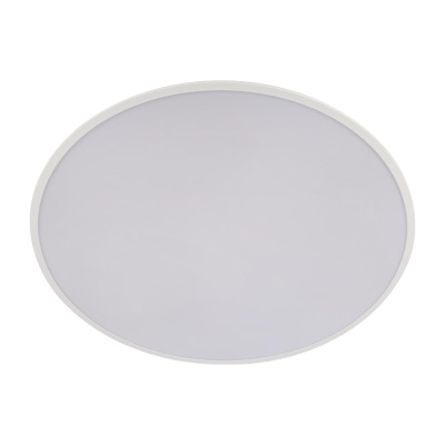 10226 White Потолочный светильник LOFT IT Brim