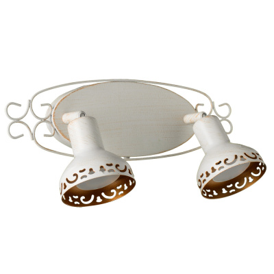 Спот Arte Lamp FOCUS