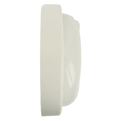 Светильник накладной светодиодный FERON AL3006