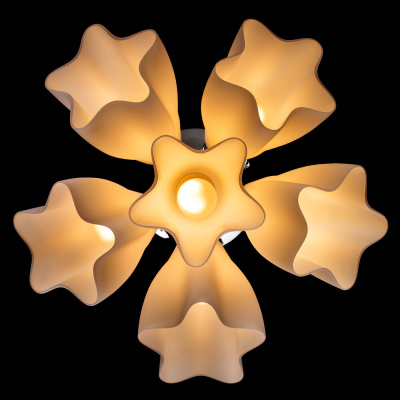 Люстра Arte Lamp CANZONE